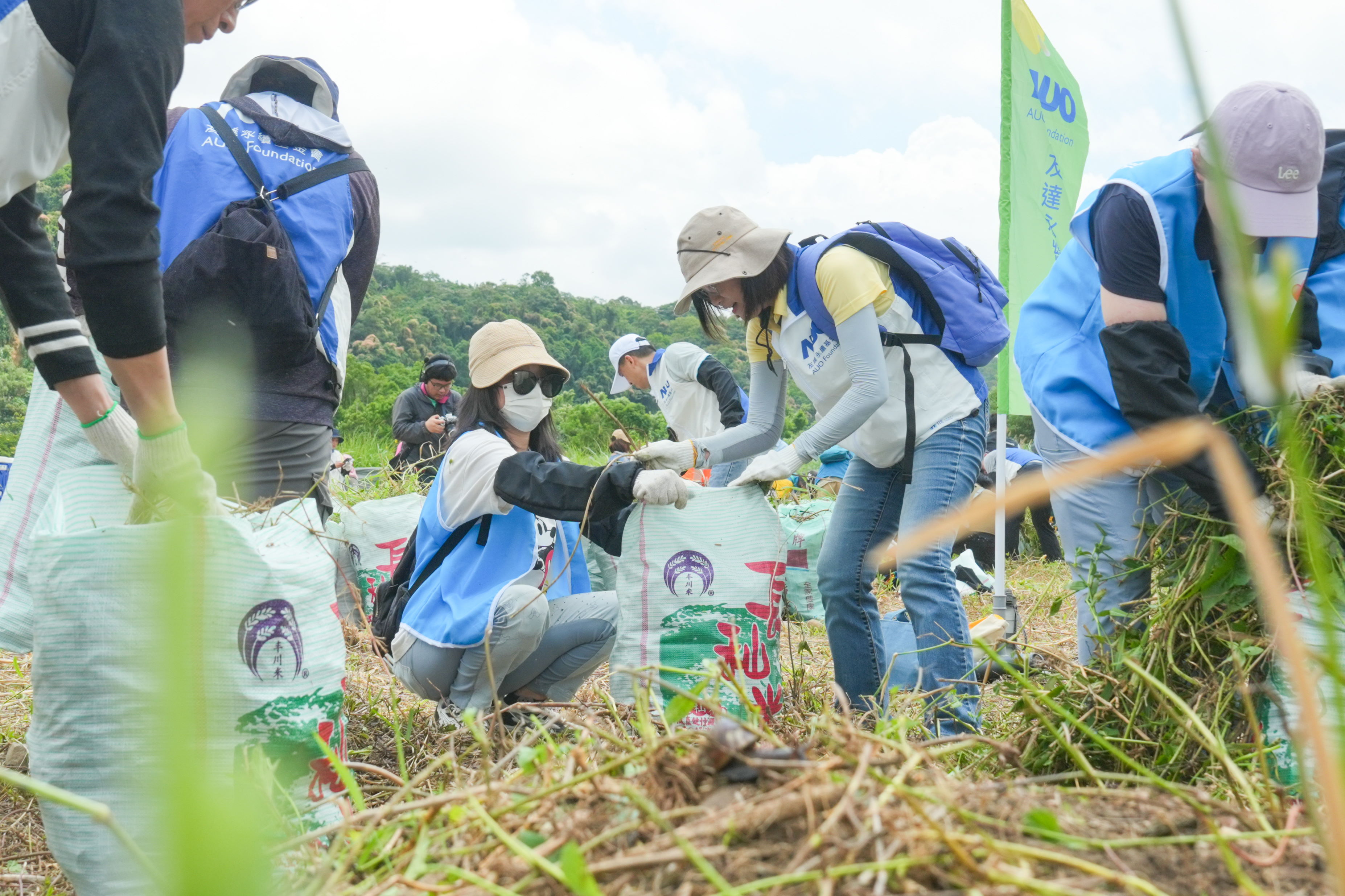 米兰milan除蔓防治計畫，除了鎖定霄裡溪沿岸3.2公里移除外來入侵種小花蔓澤蘭，並進行物種與空拍調查，共記錄91科181屬239種維管束植物，顯示該區域具高度生態價值